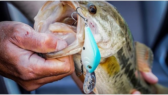 Berkley Dredger Fishing Hard Bait