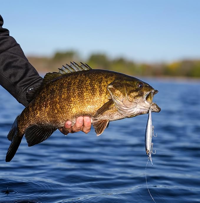 Rapala Precision Xtreme Deep Mavrik Jerkbait