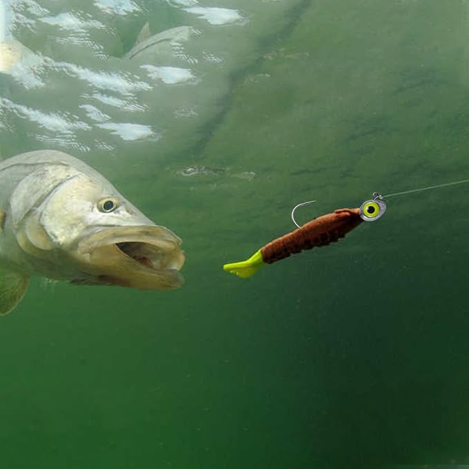 Dr.Fish 10 Pack Fishing Eyes Jigs 3D Eyes Trout Heads Bass Hook Saltwater Swimbait Jig Heads Freshwater Walleye Redfish Striper 1/2oz 3/8oz 1/4oz 3/16oz