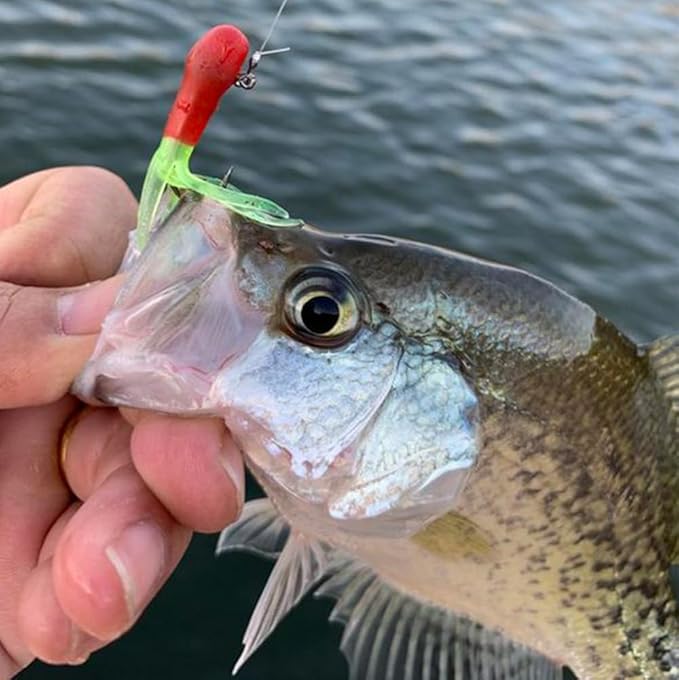 Tube Jig Heads for Crappie, Panfish, and Bass Fishing - 24 Pack