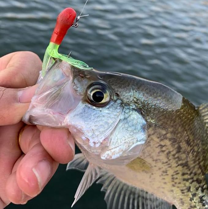 Tube Jig Heads for Crappie, Panfish, and Bass Fishing - 24 Pack
