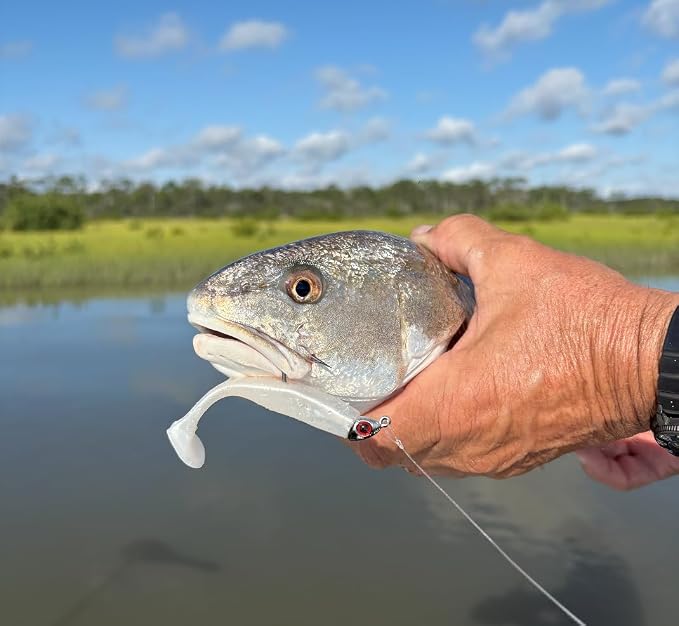 Soft Plastic Paddle Tail Swimbaits Pack of 12 – 3 1/4" & 4" Soft Plastic Fishing Lures with Extra-Large Tail for Lifelike Swimming Action – Freshwater & Saltwater