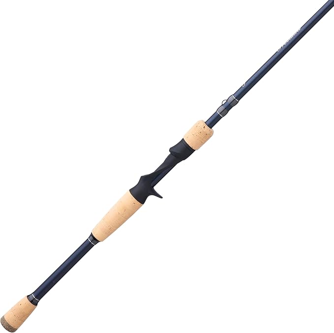 Pflueger President XT Casting Rod