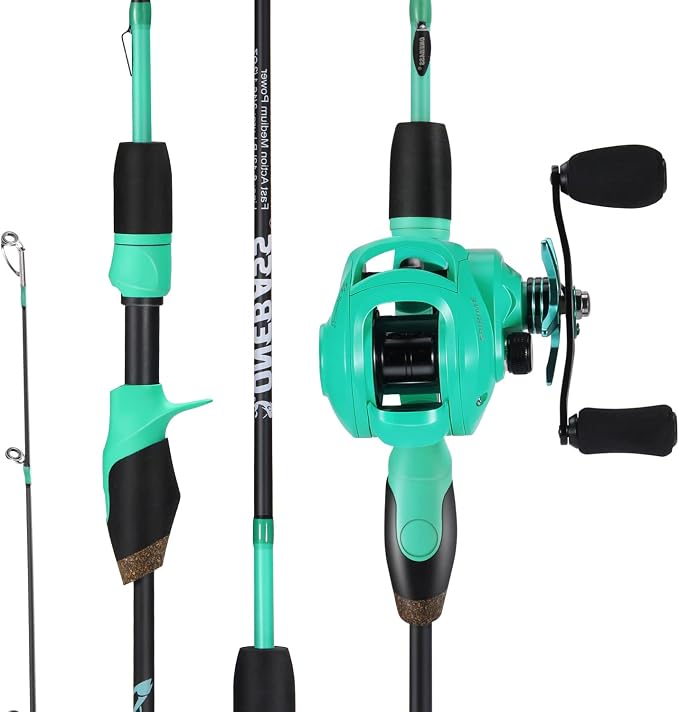 One Bass Fishing Rod and Reel Combo, 2-Piece Spinning & Baitcasting Combo,Medium IM6 Graphite Blank Rods, Stainless Steel Guides