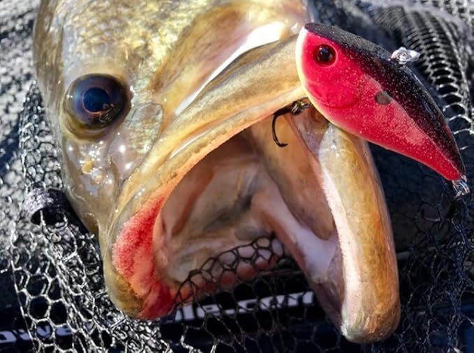 Booyah Hard Knocker Bass Fishing Crankbait Lure