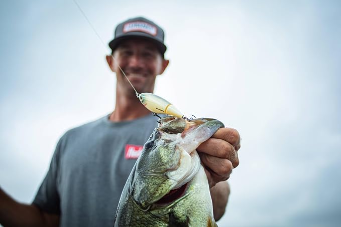Heddon Spin'N Image