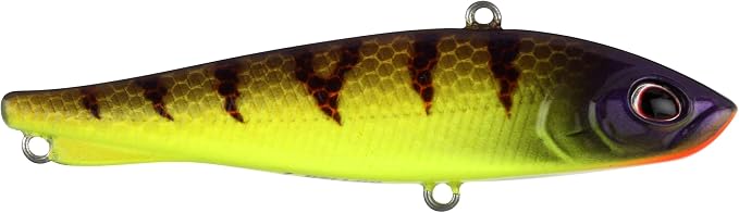 Berkley Ripfish