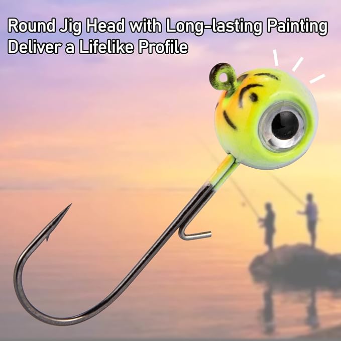 Dr.Fish 10 Pack 3D Eye Fishing Jig Heads Ball Swimbait Jig Saltwater Freshwater Bass Walleye Fishing Hooks Crappie Trout