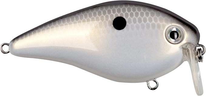 Strike King KVD 2 5 Wake Bait 1