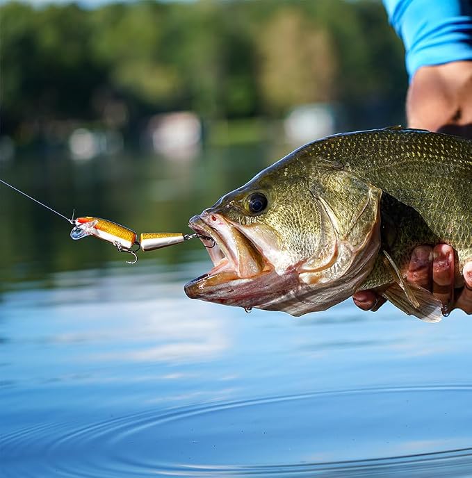 Rapala Jointed 07 Fishing Lures