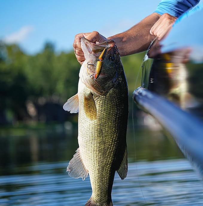 Rapala Jointed 07 Fishing Lures