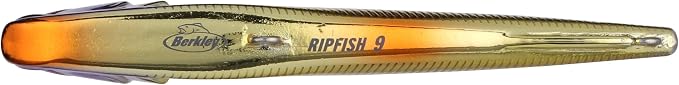 Berkley Ripfish