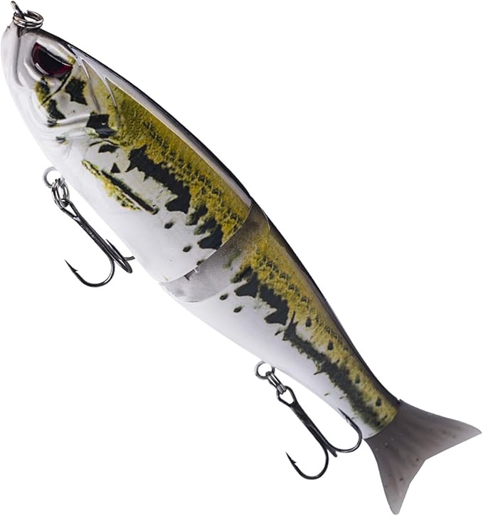 Glide Bait, Slow Sinking Swimbait, Topwater Hard Lures for Bass Catfish,Pike Perch, Freshwater or Saltwater