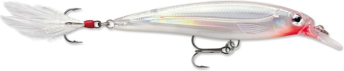 Rapala X-Rap Jerkbait XR10 Fishing Lure