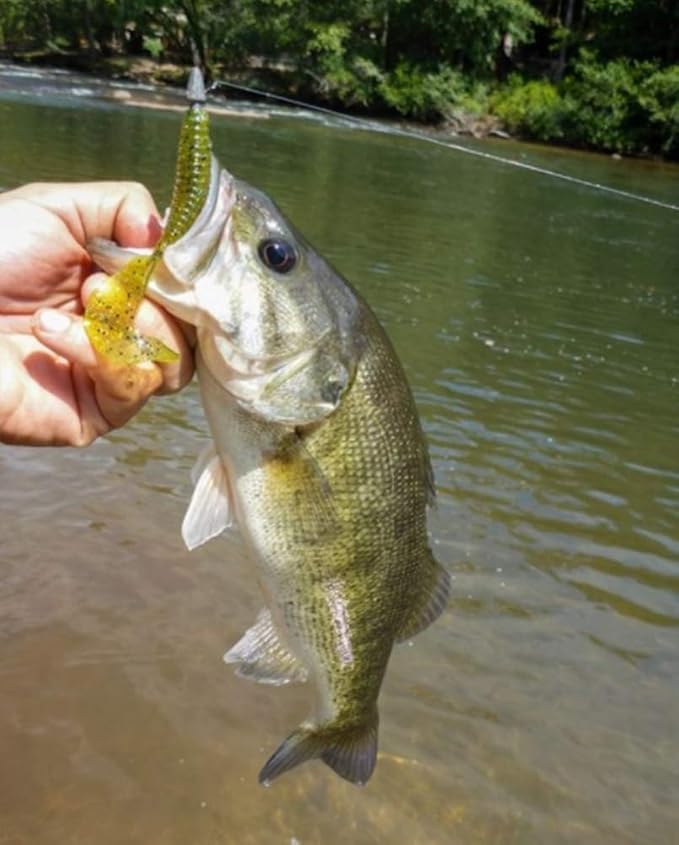 YUM Grub Multi-Species Curly-Tail Swim-Bait Fishing Lure