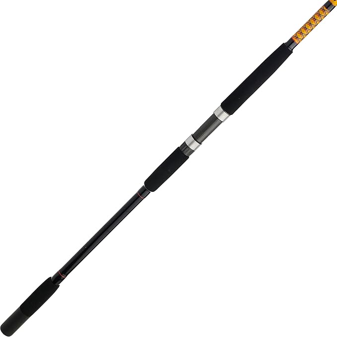 Ugly Stik Bigwater Spinning Fishing Rod