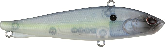 Berkley Ripfish