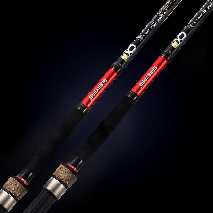 BERRYPRO Surf Spinning Rod Full Carbon Surf Fishing Rod Meduim Action Surf Rod (9'/10'/10'6''/11'/12'/13'3'')