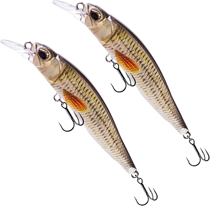 Glide Bait, Slow Sinking Swimbait, Topwater Hard Lures for Bass Catfish,Pike Perch, Freshwater or Saltwater
