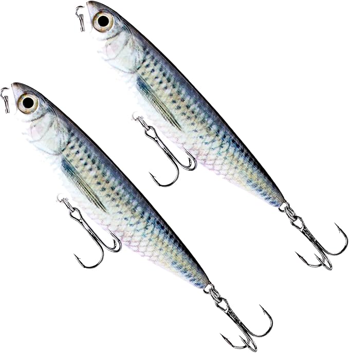 Glide Bait, Slow Sinking Swimbait, Topwater Hard Lures for Bass Catfish,Pike Perch, Freshwater or Saltwater