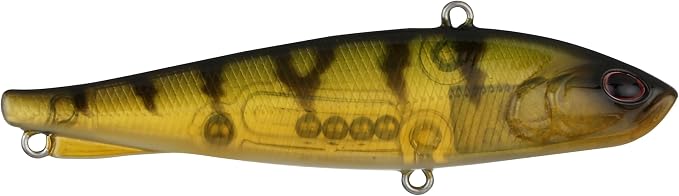 Berkley Ripfish
