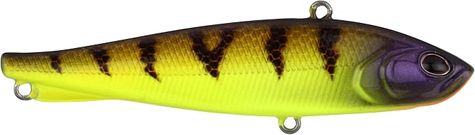 Berkley Ripfish