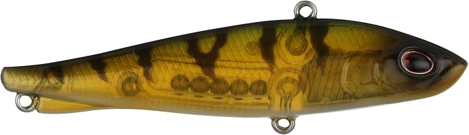 Berkley Ripfish