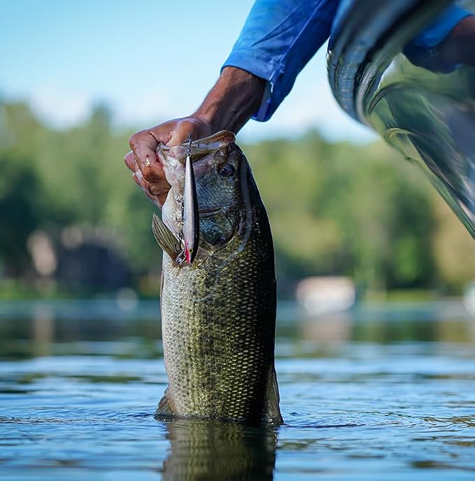 Rapala Rapala Original Floater 09