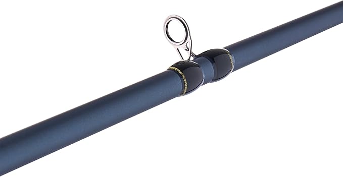 Pflueger President Casting Rod