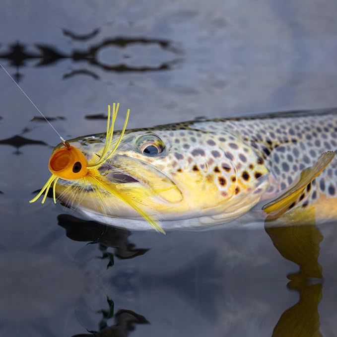 Fly Fishing Poppers, Topwater Fishing Lures Bass Crappie Bluegill Sunfish Panfish Trout Salmon Perch Steelhead Flies for Fly Fishing Bass Panfish Bluegill Trout Salmon