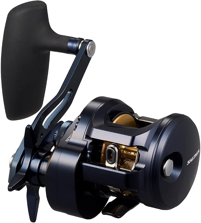 Daiwa SALTIGA Jigging Bait Reel (2025 Model)