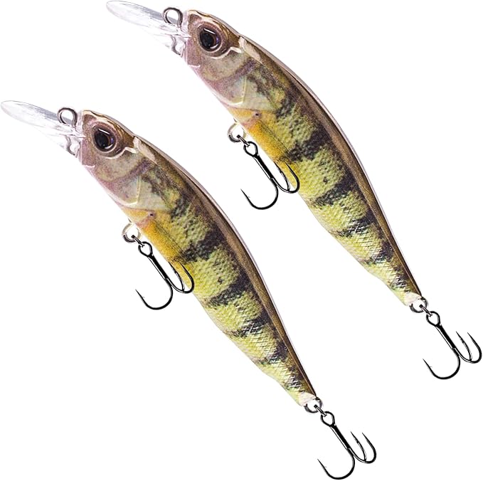 Glide Bait, Slow Sinking Swimbait, Topwater Hard Lures for Bass Catfish,Pike Perch, Freshwater or Saltwater