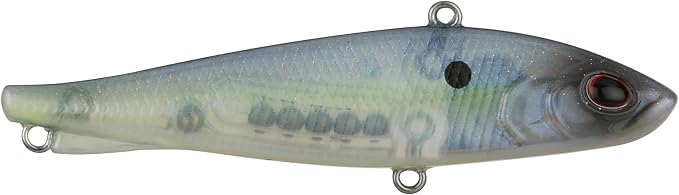 Berkley Ripfish