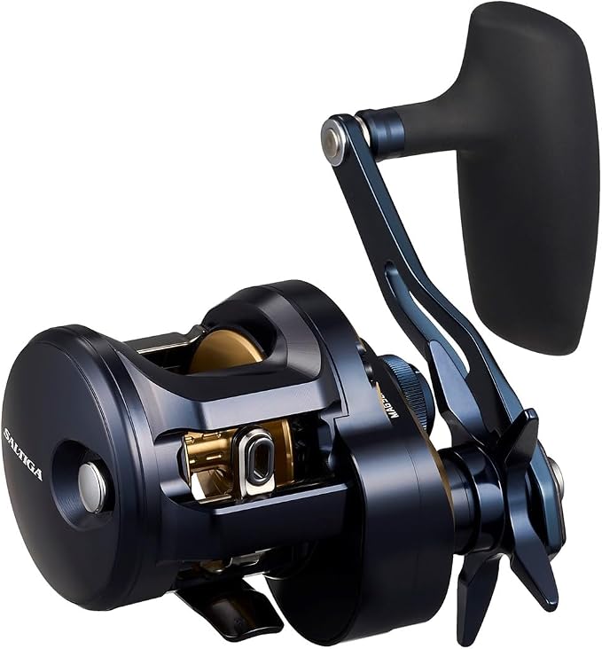 Daiwa SALTIGA Jigging Bait Reel (2025 Model)