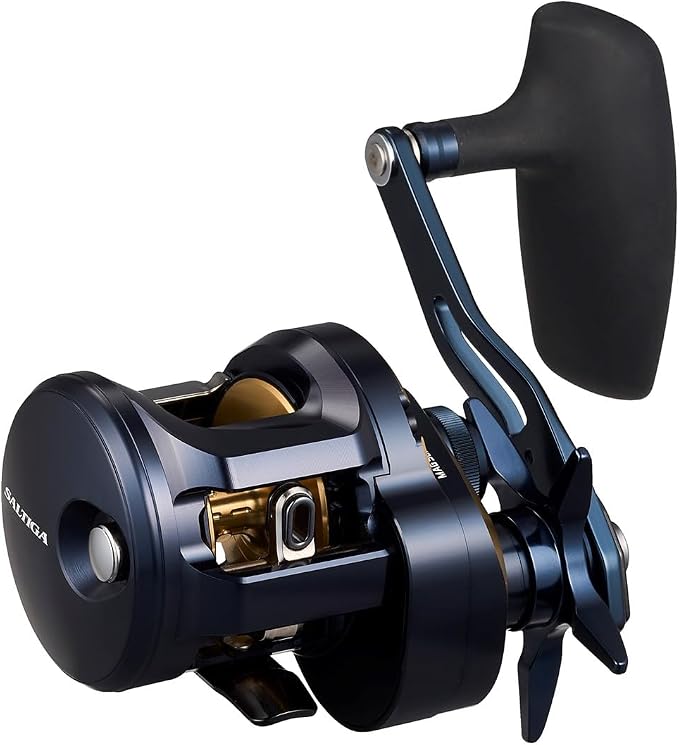 Daiwa SALTIGA Jigging Bait Reel (2025 Model)