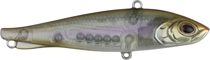 Berkley Ripfish