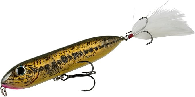 Heddon Super Zara Spook