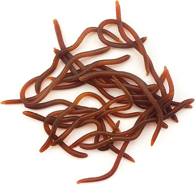 20 / 50pcs Fishing Soft Lure Trout Worm-Earthworm Baits Lifelike-Fake Earthworm Grub-Worm Baits Set