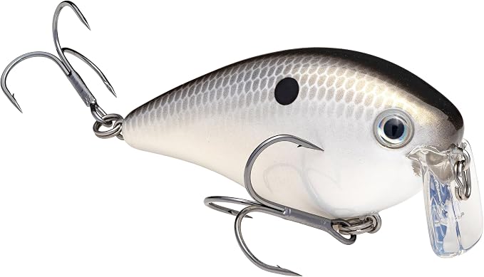 Strike King KVD 2 5 Wake Bait 1