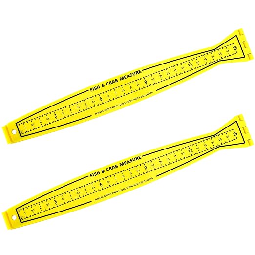 VioraWhite 2 Pcs Fish Measuring Board - 32in/80cm Folding Fishing Ruler Fishing Measurement Ruler Crab Measuring Tool Lightweight Bump Board for Boat Kayak (32" Imperial Scale)