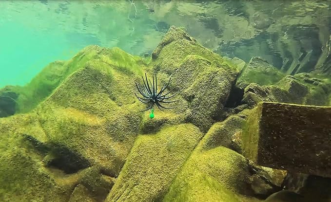 QualyQualy Sea Urchin Soft Lure, Super Durable Tentacle Creature Lure for Bass Pike Trout Fishing Easy Catch Saltwater Freshwater Soft Lures TPE Material