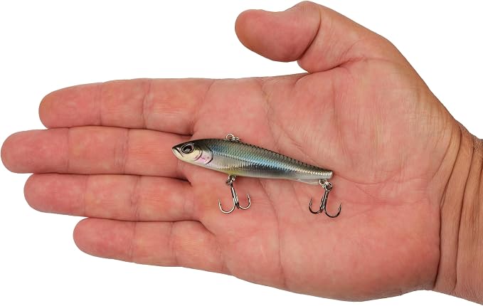 Berkley Ripfish