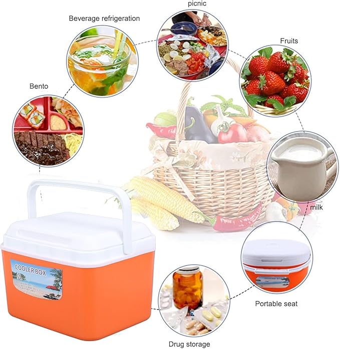 Large 5L Insulated Cooler Box Portable Ice Box for Travel Camping Picnic Fish, Insulated Cooler Box Hard Case Keeps Food Freshness and Drink Cool