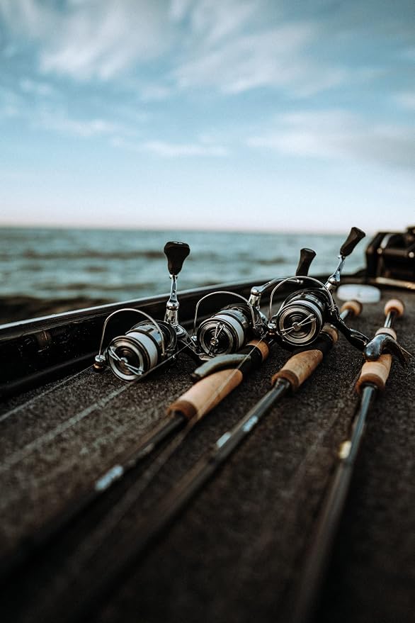 13 Fishing - Aerios - Spinning Reels - 6.2:1 Gear Ratio (Freshwater + Saltwater)