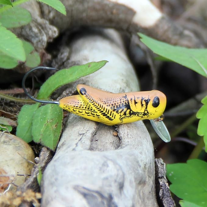 Rebel Lures Crickhopper Cricket/Grasshopper Crankbait Fishing Lure, 1 1/2 Inch, 1/4 Ounce