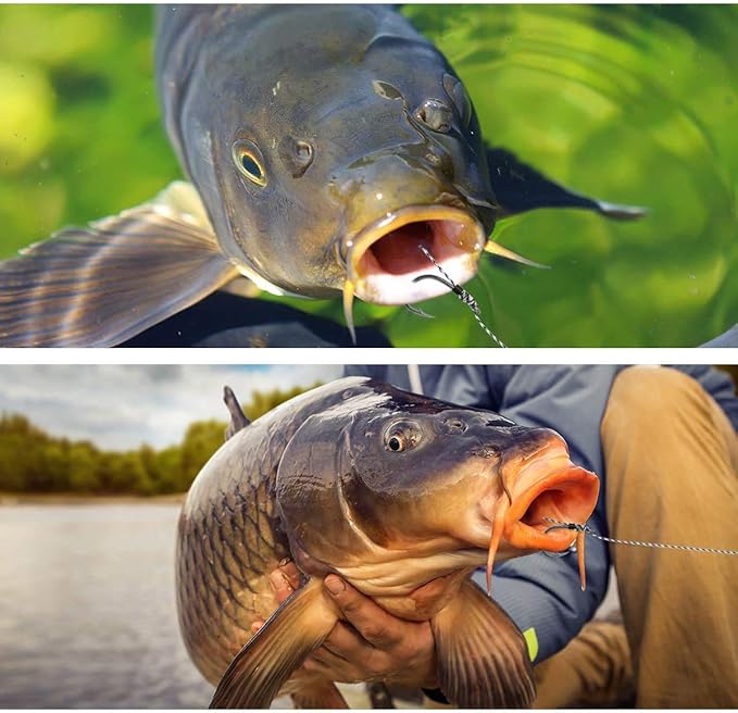 YOTO 24PCS-Carp-Fishing-Hair-Rigs,Carp Fishing Gear with Wide Gape Hook,Zig Rigs Carp Fishing Kit with Carp Accessories