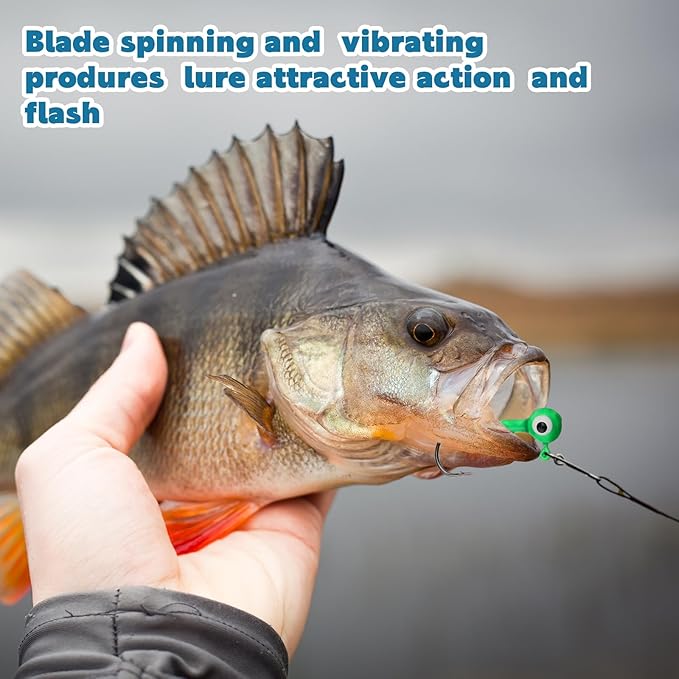 60 Pieces Fishing Lures Jig Heads Ball Head Fishing Hooks Round Ball Head Jigs with Double Eyes for Freshwater or Saltwater