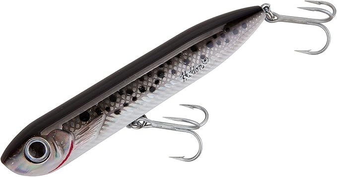 Heddon Chug'N Spook Popper Topwater Fishing Lure for Saltwater and Freshwater