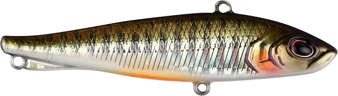 Berkley Ripfish
