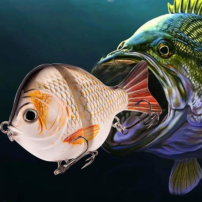 Glide Bait, Slow Sinking Swimbait, Topwater Hard Lures for Bass Catfish,Pike Perch, Freshwater or Saltwater